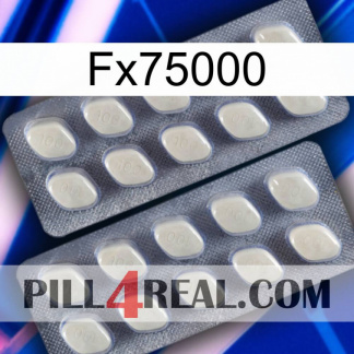 Fx75000 07